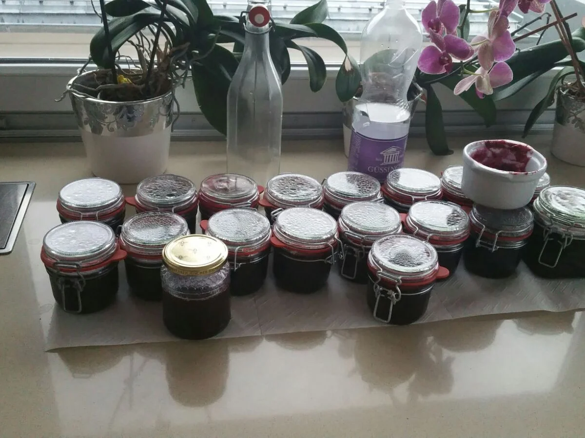 WEINTRAUBENMARMELADE - Rezept - Bild Nr. 681