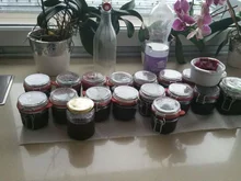 WEINTRAUBENMARMELADE - Rezept - Bild Nr. 681