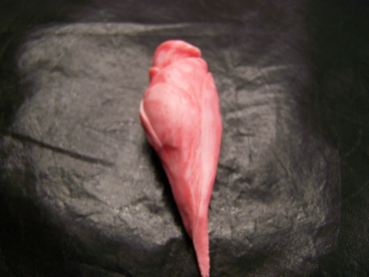 Fondantrose - Rezept - Bild Nr. 721