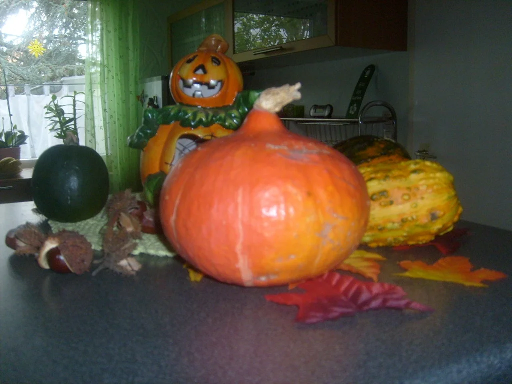 Kürbiscremesuppe mit Ingwer und Kokosmilch - Rezept - Bild Nr. 736