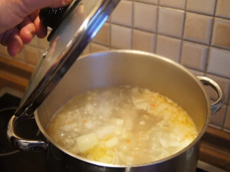 Hühnersuppe mit Gemüse und Koriander - Rezept - Bild Nr. 747