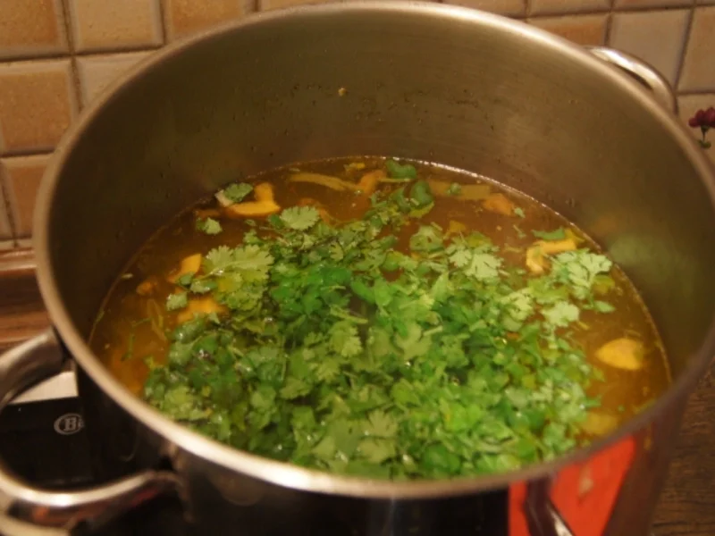 Hühnersuppe mit Gemüse und Koriander - Rezept - Bild Nr. 752