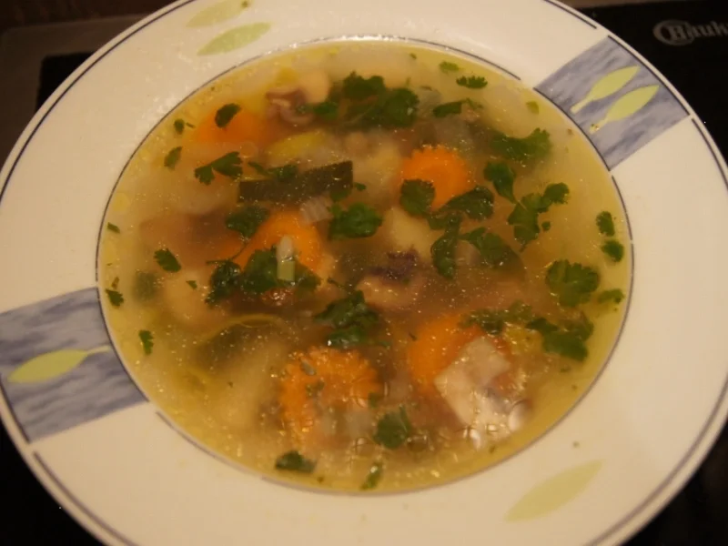 Hühnersuppe mit Gemüse und Koriander - Rezept - Bild Nr. 753
