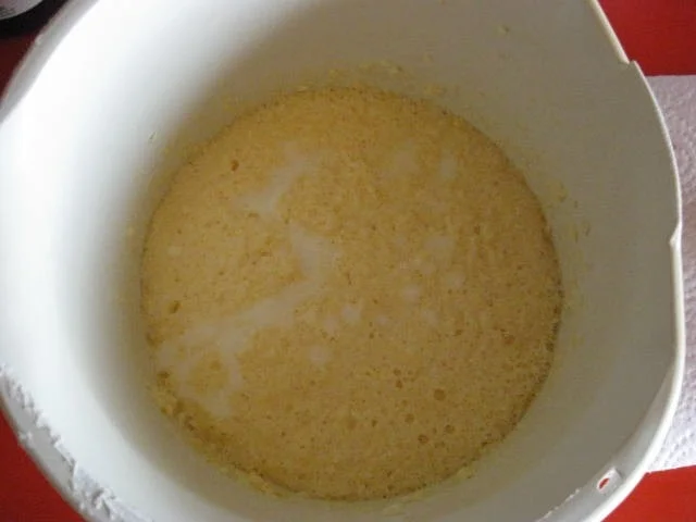 Rezept: Buttermilch Gugelhupf mit weißer Schokolade Bild Nr. 748 Buttermilch Gugelhupf mit weißer Schokolade - Rezept - Bild Nr. 748