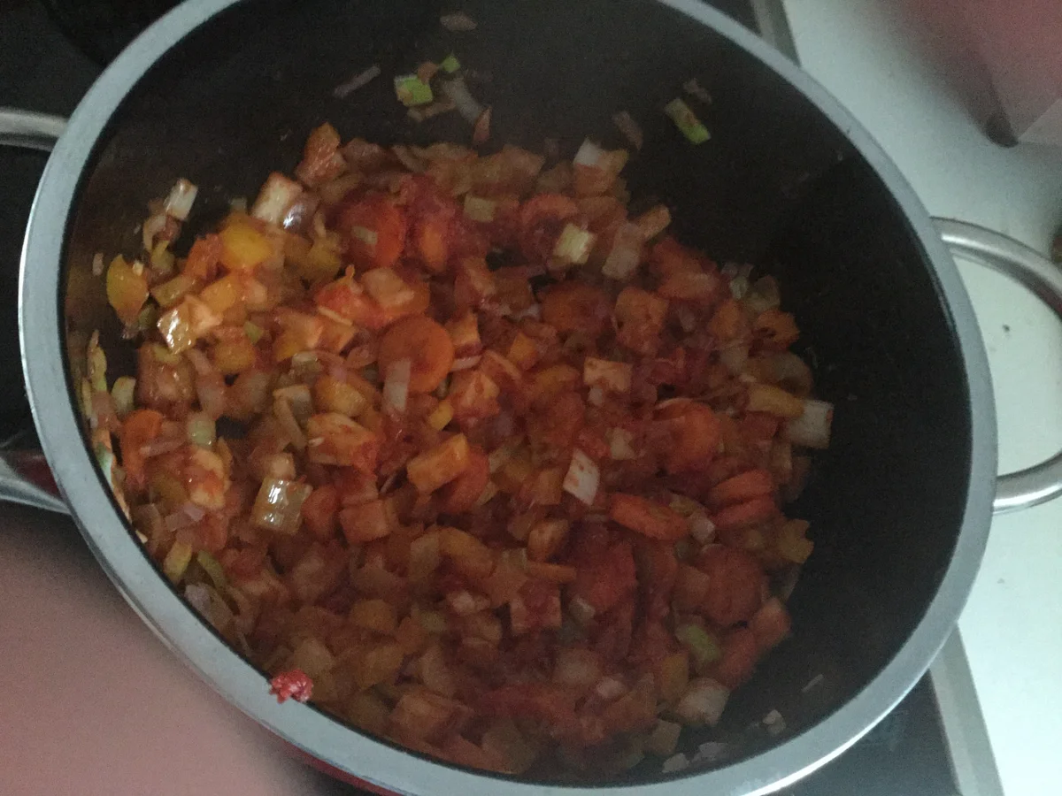 Minestrone a la Ari - Rezept - Bild Nr. 756