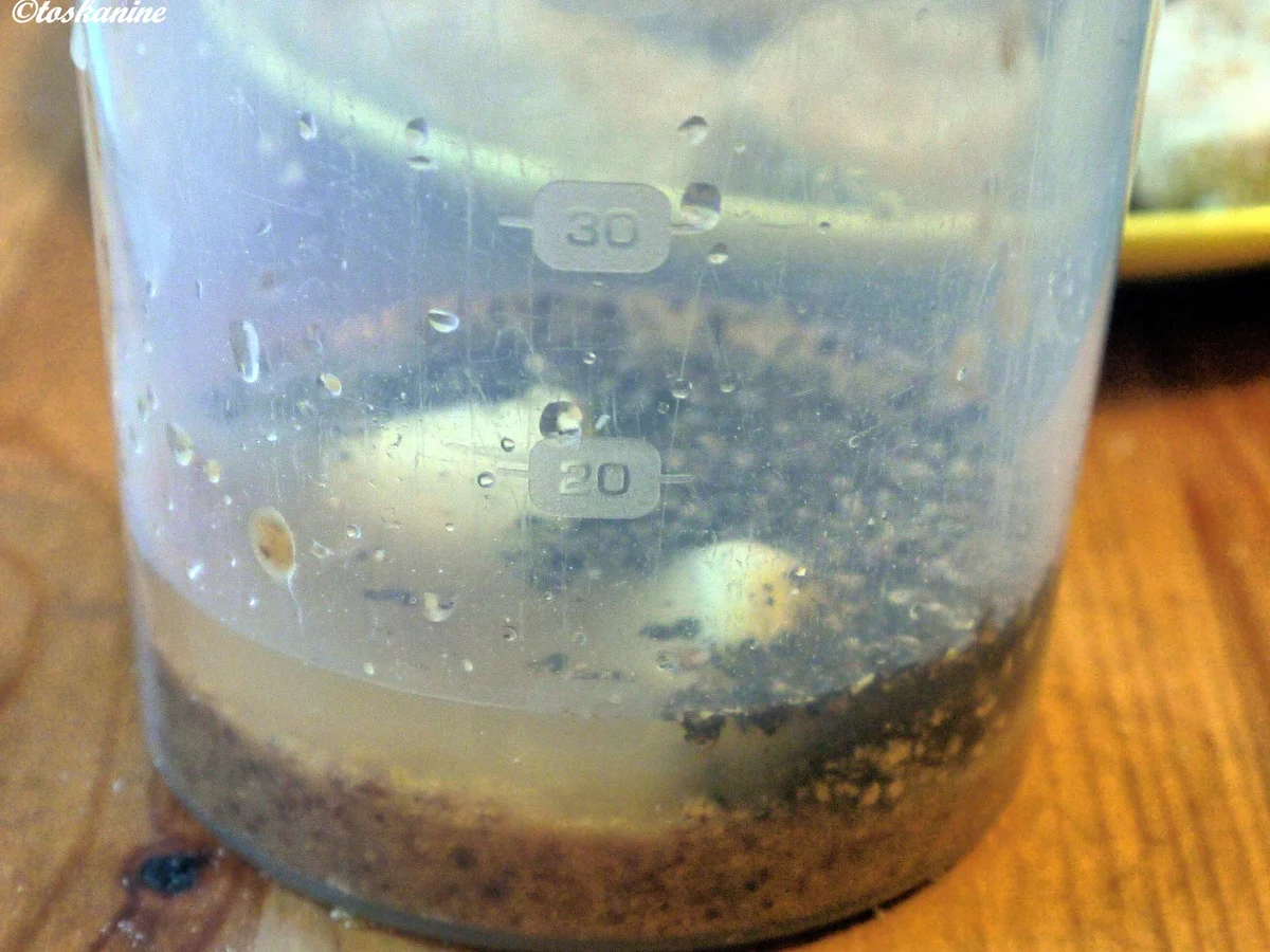 Linsensalat mit panierten Weißwurstscheiben - Rezept - Bild Nr. 831