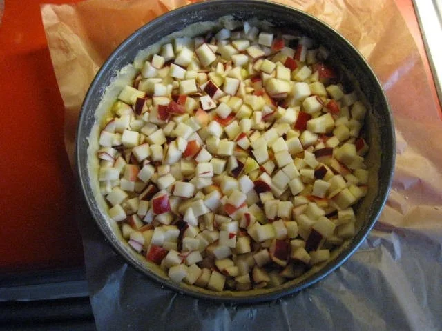 Apfel Schmand Kuchen mit Streusel - Rezept - Bild Nr. 873