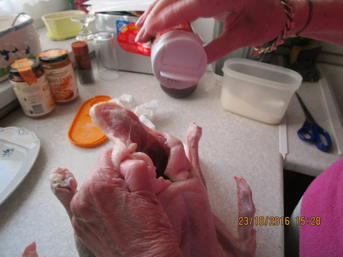 Bratente mit lecker Sösschen - Rezept - Bild Nr. 914