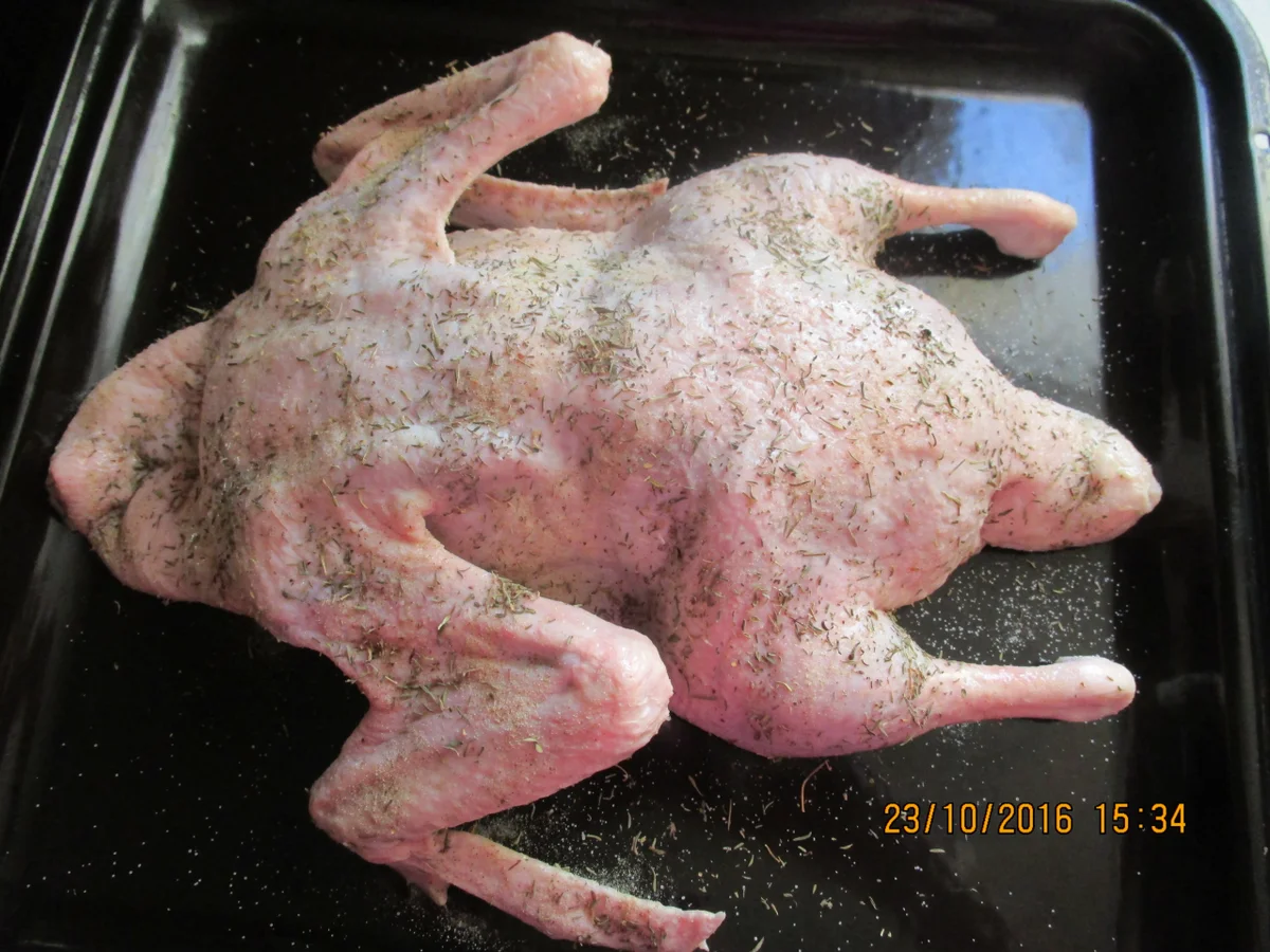 Bratente mit lecker Sösschen - Rezept - Bild Nr. 916