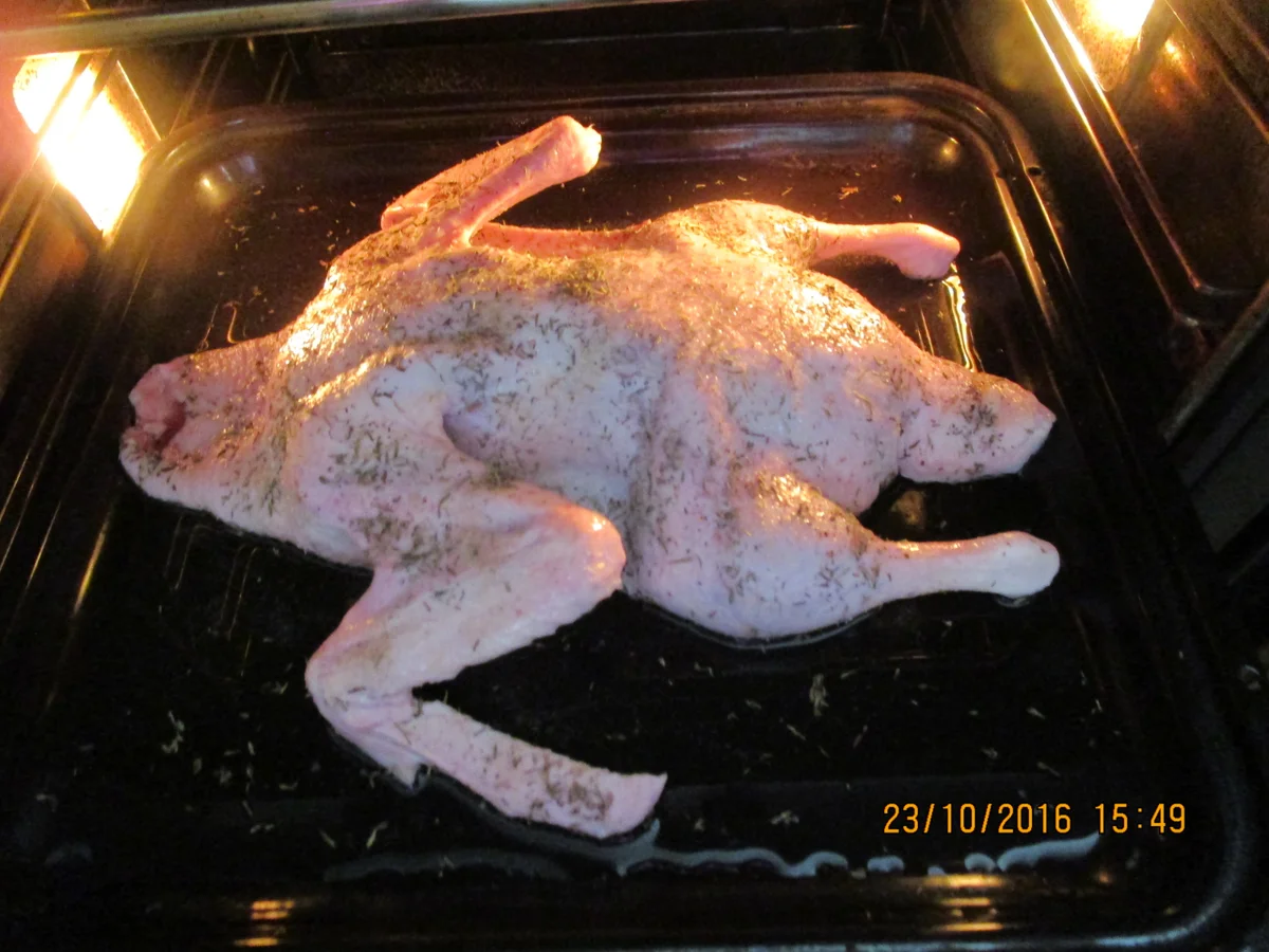 Bratente mit lecker Sösschen - Rezept - Bild Nr. 917