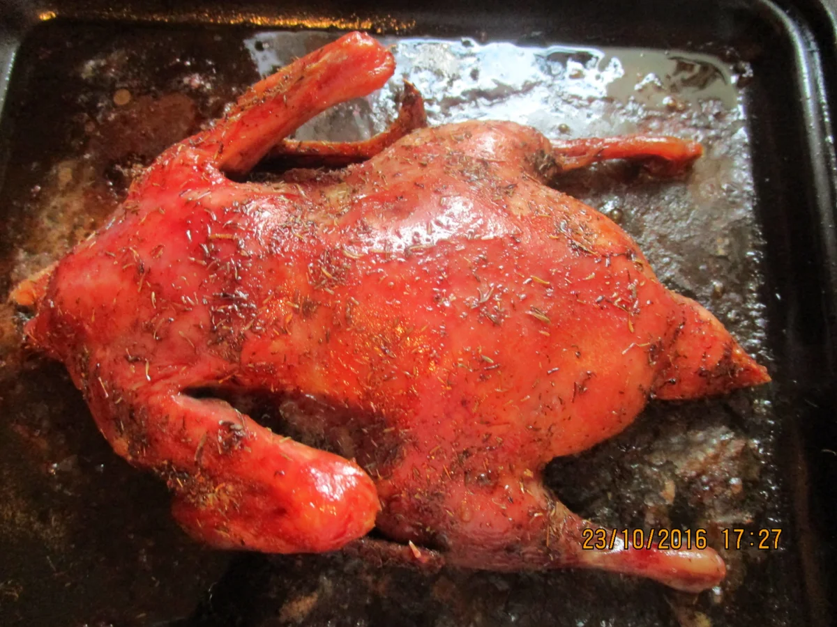 Bratente mit lecker Sösschen - Rezept - Bild Nr. 918