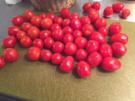 Matbucha mit Auberginen und Cocktailtomaten - Rezept - Bild Nr. 908