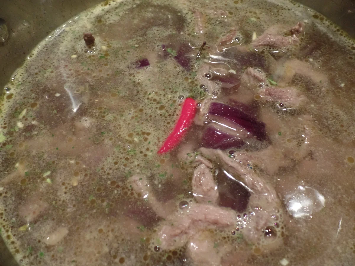 Asiatische Entensuppe - Rezept - Bild Nr. 913