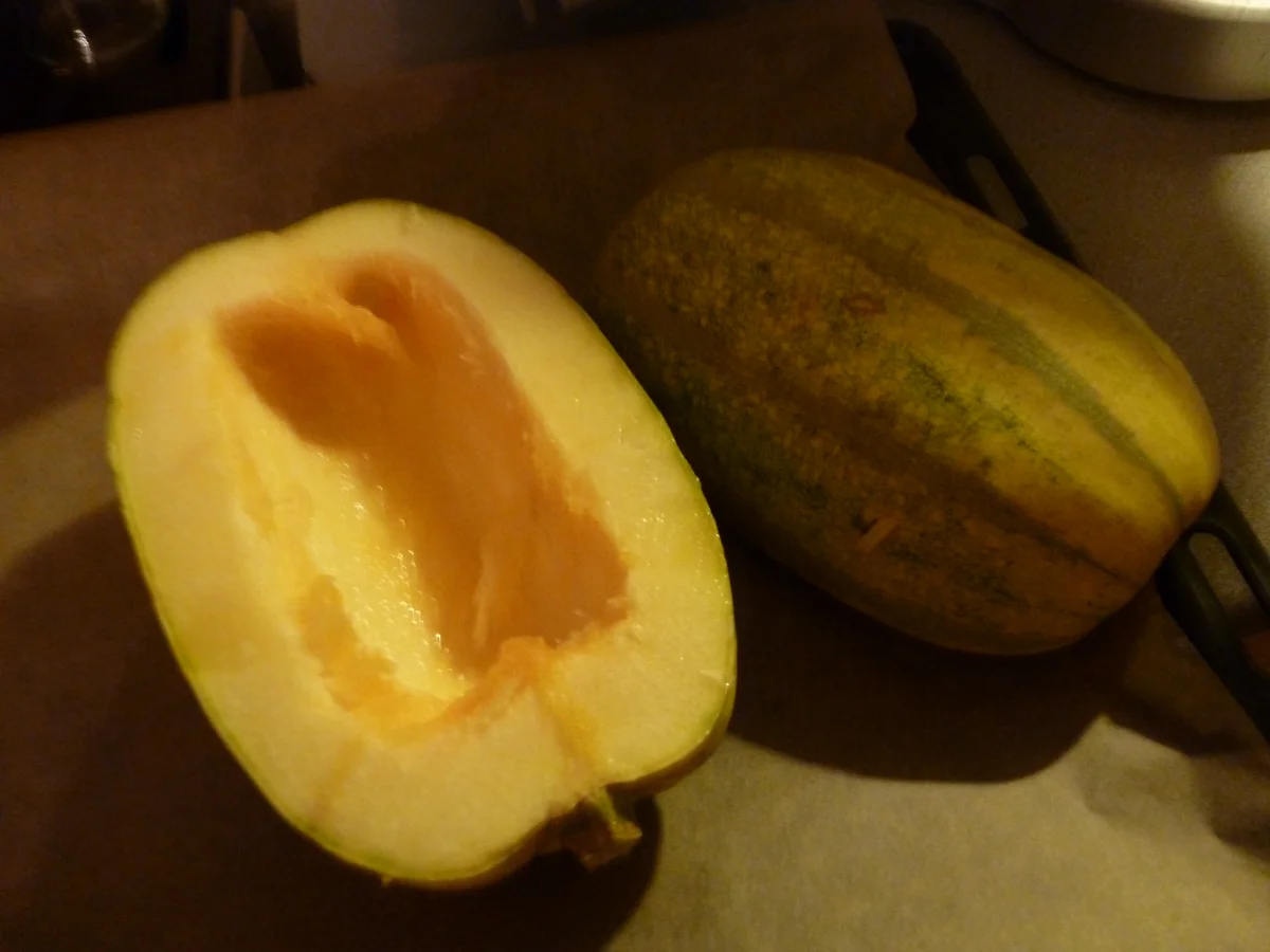 Spaghettikürbis überbacken - Rezept - Bild Nr. 916