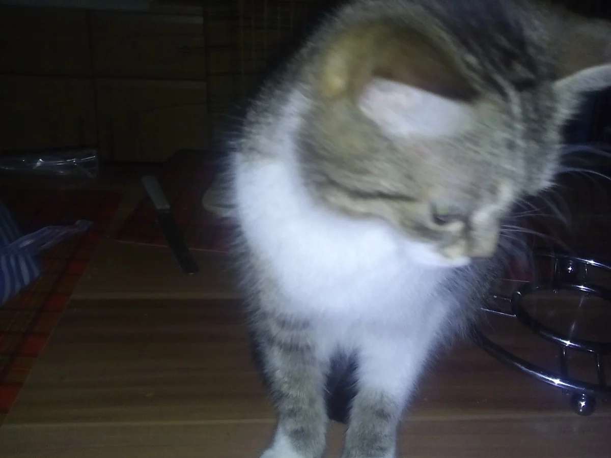 Kürbissuppe a la Chrischy - Rezept - Bild Nr. 928