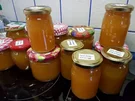 Kürbis-Orangen Marmelade - Rezept - Bild Nr. 927