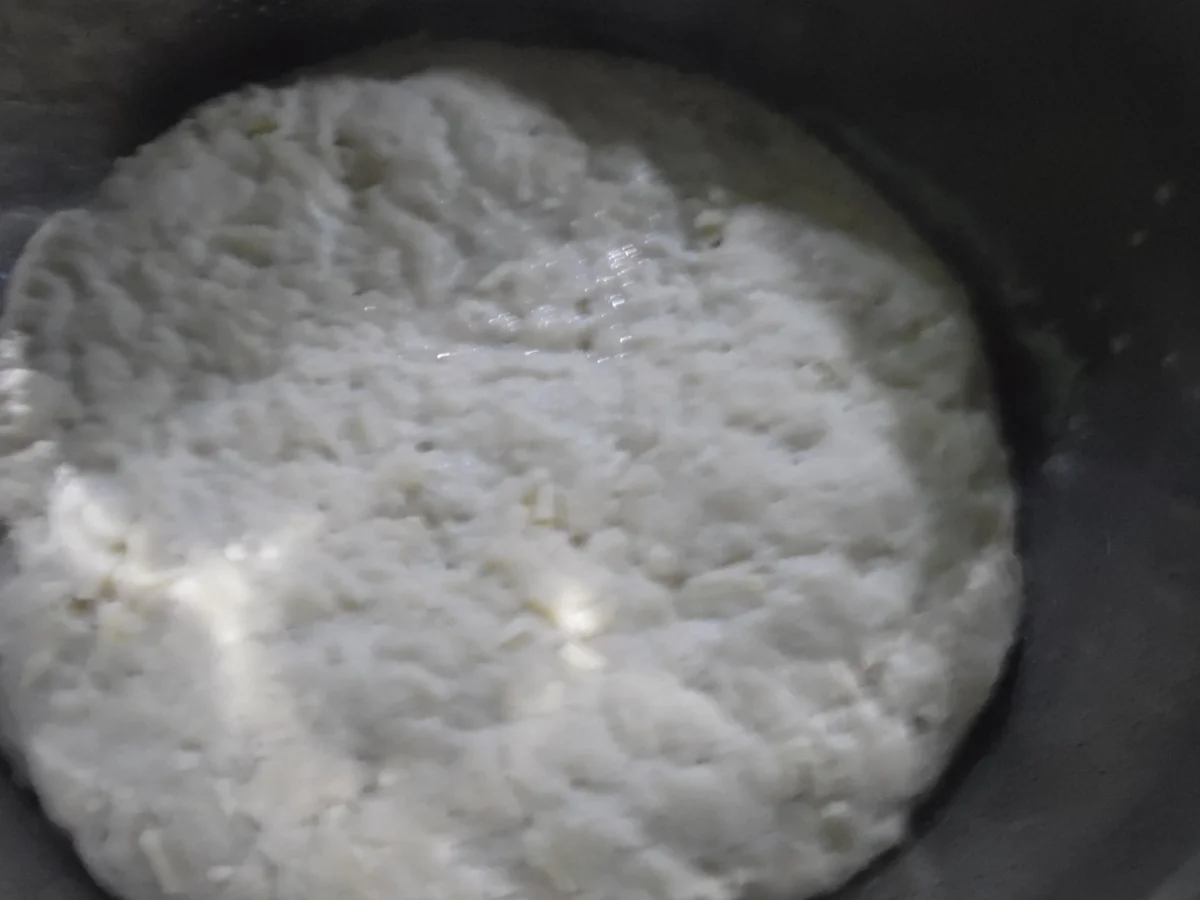 Käse-Brötchen - Rezept - Bild Nr. 930