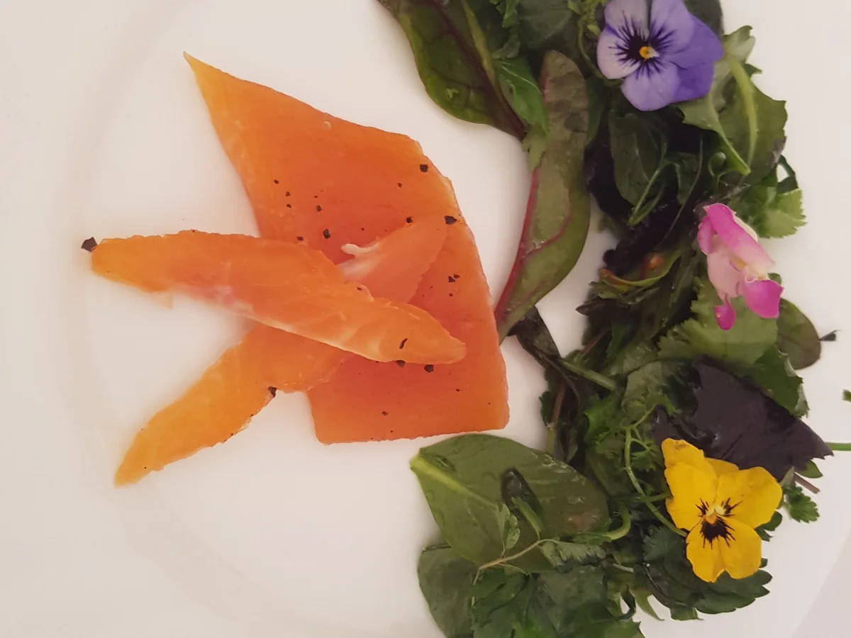 In Kaffee gebeizter Saibling auf Wildkräutersalat - Rezept