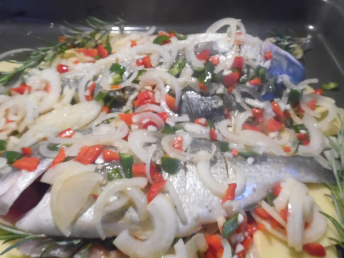 Dorade auf dem Kartoffelbett - Rezept - Bild Nr. 941