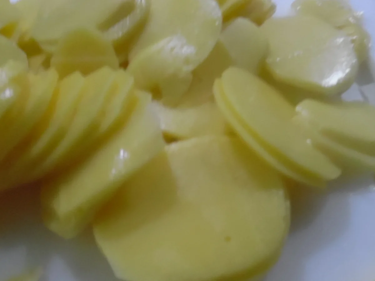 Dorade auf dem Kartoffelbett - Rezept - Bild Nr. 942