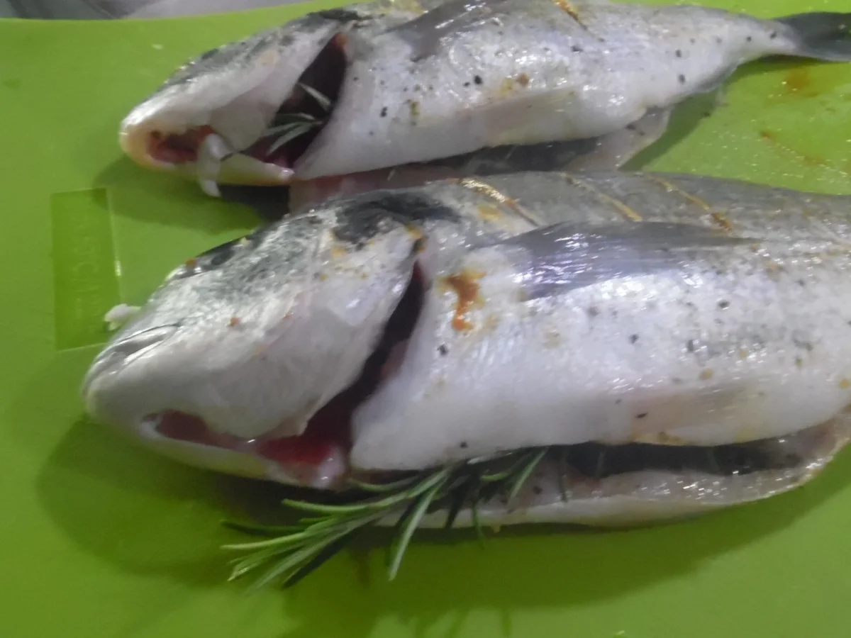 Dorade auf dem Kartoffelbett - Rezept - Bild Nr. 944