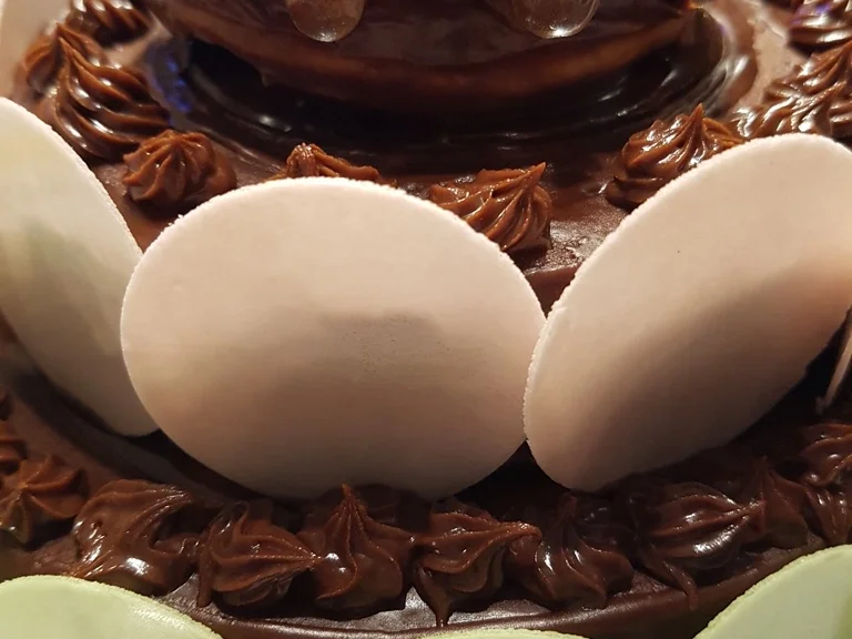 Nanna`s "Birthday Torte" - Rezept - Bild Nr. 960