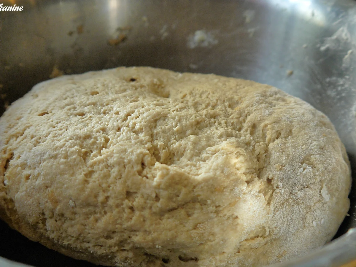 Rezept: Leinsamenbrot Bild Nr. 946 Leinsamenbrot - Rezept - Bild Nr. 946