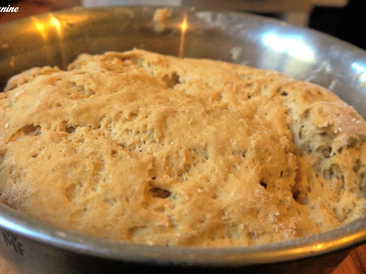 Rezept: Leinsamenbrot Bild Nr. 947 Leinsamenbrot - Rezept - Bild Nr. 947