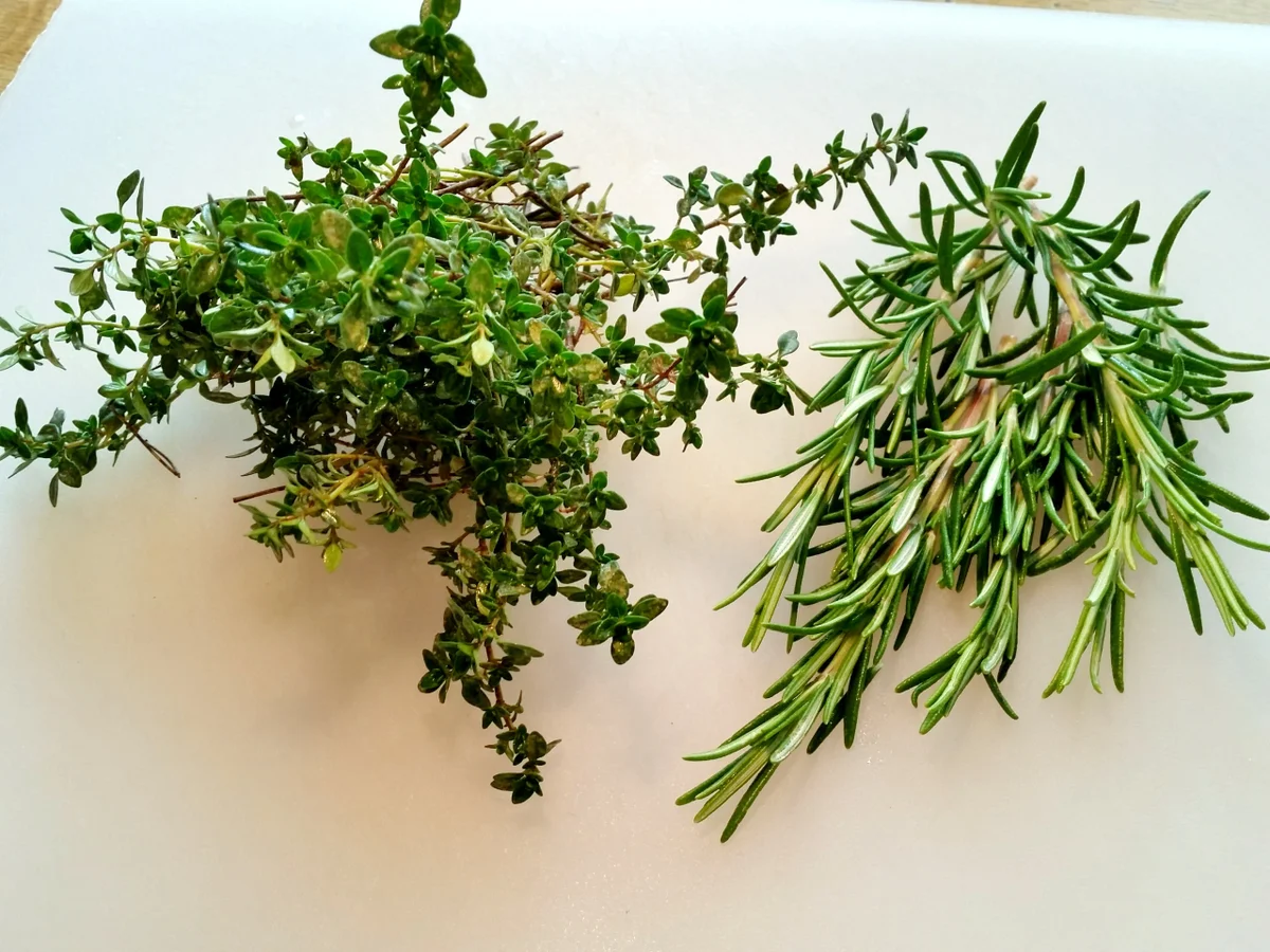 Rezept: Gebackene Tomaten ... Bild Nr. 941 Gebackene Tomaten ... - Rezept - Bild Nr. 941