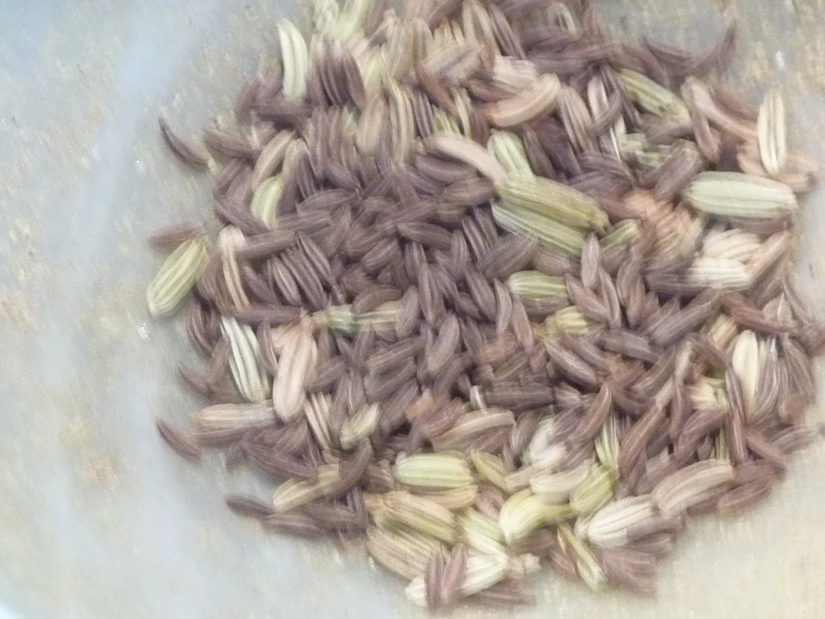 Bauerntopf mit Wurst und Speck. - Rezept - Bild Nr. 946