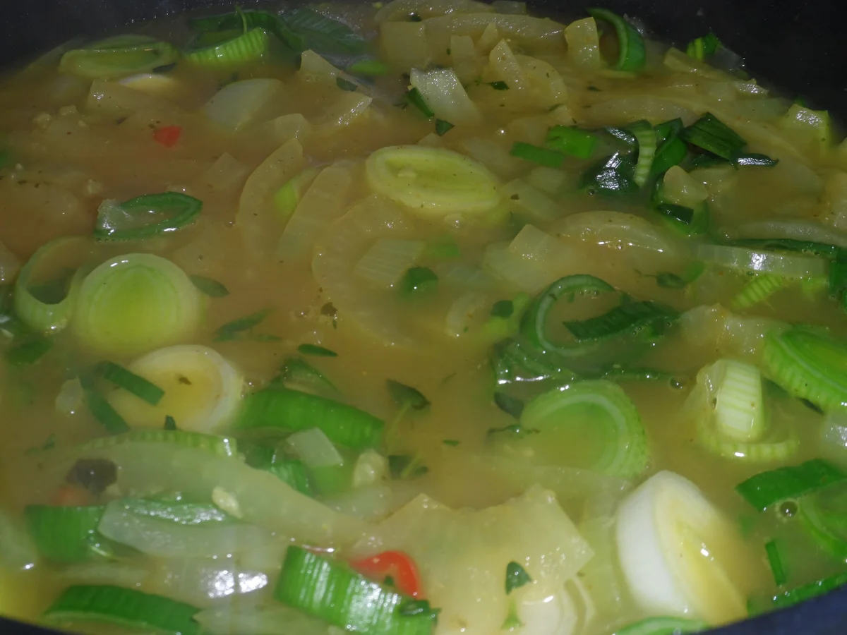 BiNe` S SCHARFE ZWIEBELSUPPE - Rezept - Bild Nr. 956