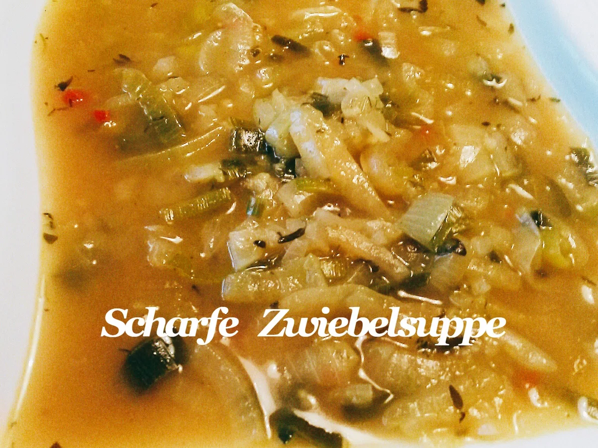 BiNe` S SCHARFE ZWIEBELSUPPE - Rezept
