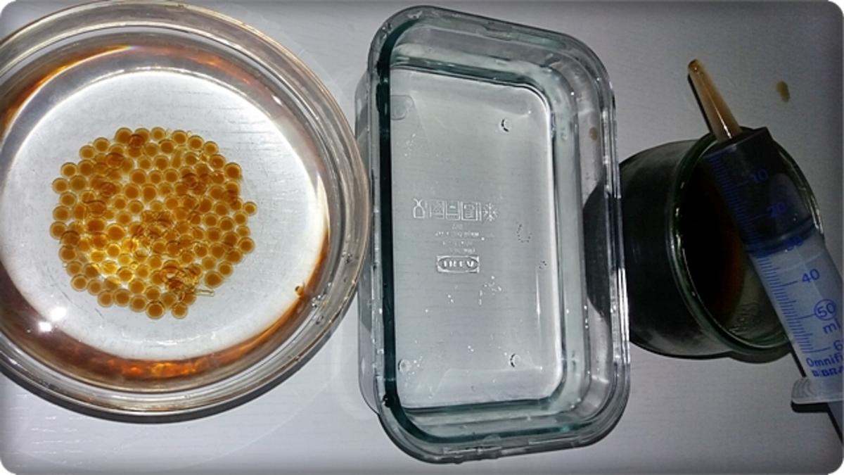 „Coca Cola Kaviar“ Selbermachen - Rezept - Bild Nr. 1005