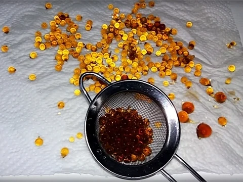 „Coca Cola Kaviar“ Selbermachen - Rezept - Bild Nr. 1007