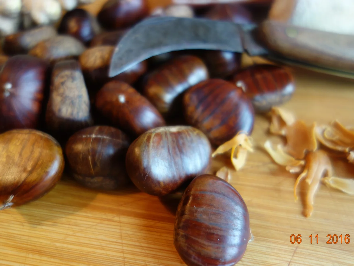 Rezept: Waltl`s geschossene Maronisuppe; Bild Nr. 1020 Waltl`s geschossene Maronisuppe; - Rezept - Bild Nr. 1020