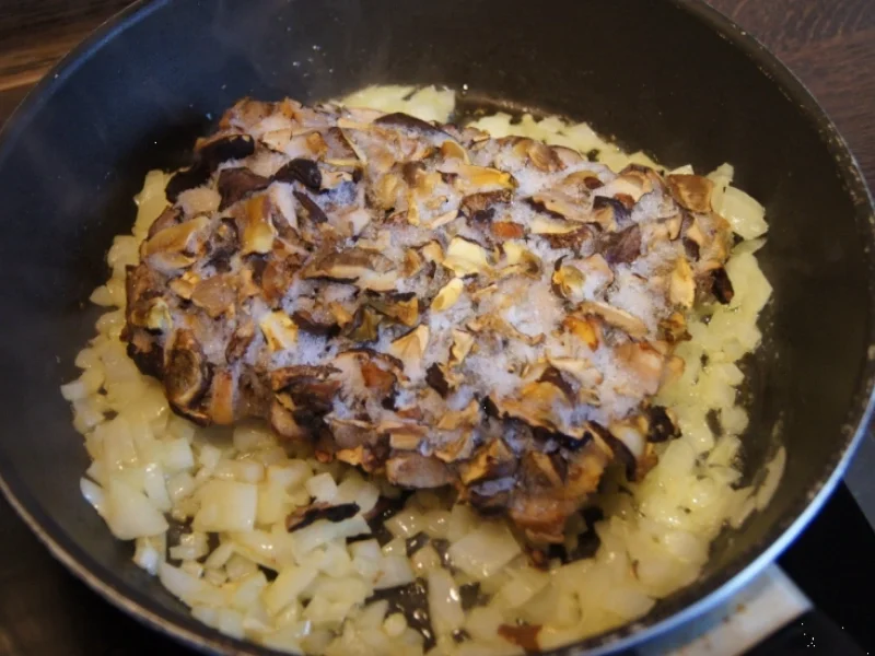 Waldpilz-Zwiebel-Rahmsauce mit Kartoffelknödeln - Rezept - Bild Nr. 1035