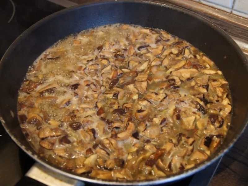 Waldpilz-Zwiebel-Rahmsauce mit Kartoffelknödeln - Rezept - Bild Nr. 1038