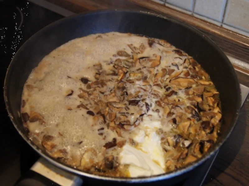 Waldpilz-Zwiebel-Rahmsauce mit Kartoffelknödeln - Rezept - Bild Nr. 1039