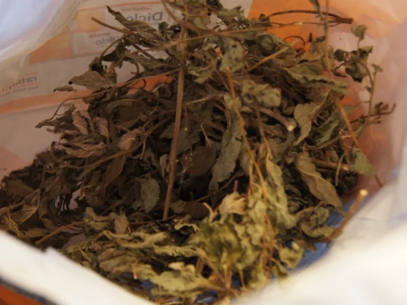 Bio-Pfefferminztee aus eigenem Garten - Rezept - Bild Nr. 2