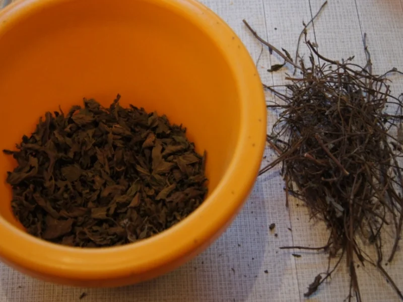 Bio-Pfefferminztee aus eigenem Garten - Rezept - Bild Nr. 3