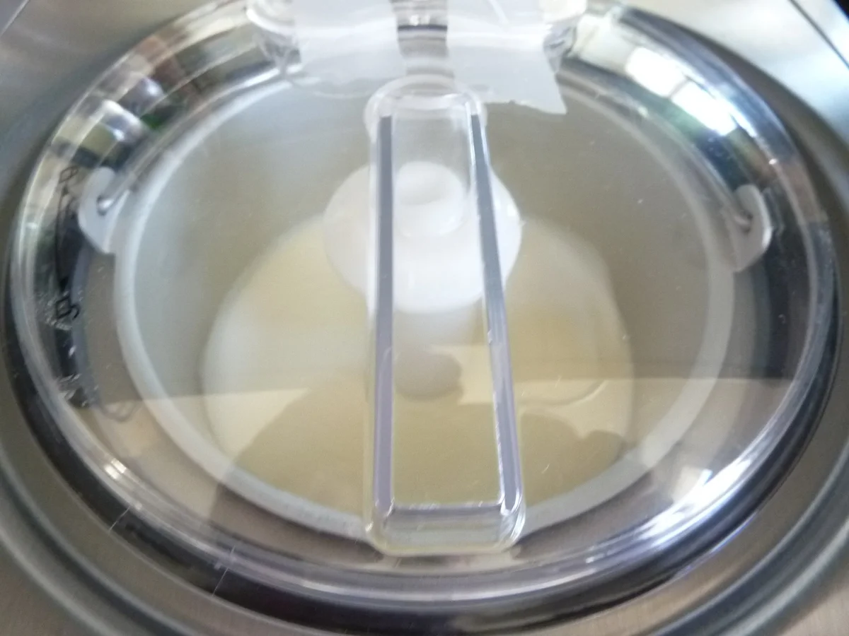 Rosenblüten Glace mit Litschi Früchte - Rezept - Bild Nr. 1035