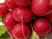 Radieschencreme ein frischer Dip - Rezept - Bild Nr. 1032