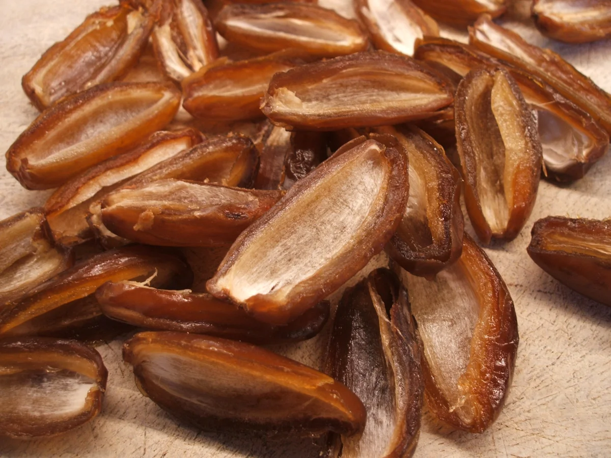 Konfekt: Gefüllte Datteln - Rezept - Bild Nr. 1034