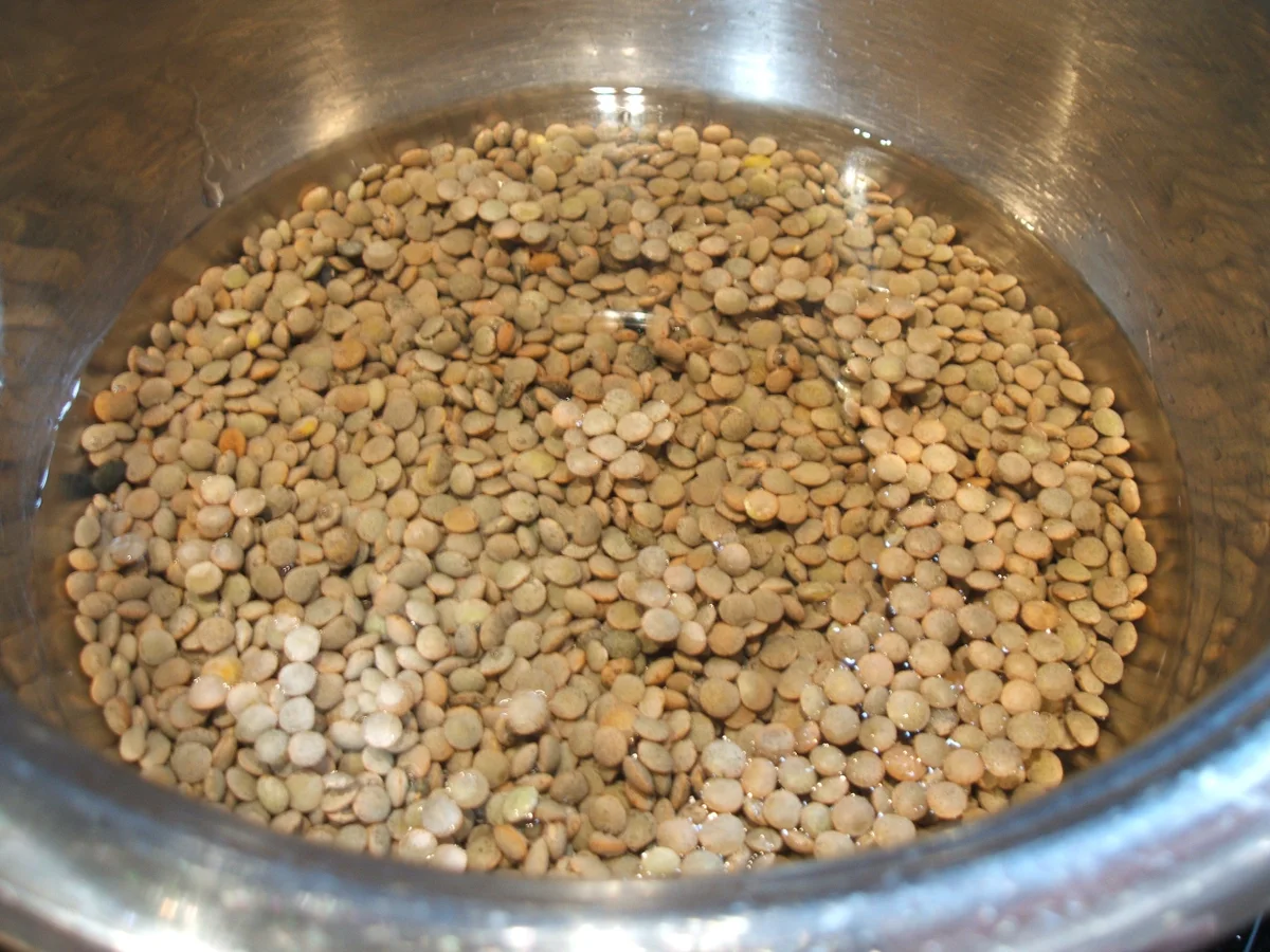 Pasta: Capelli d´ Angeli con Lenticchie - Rezept - Bild Nr. 1037