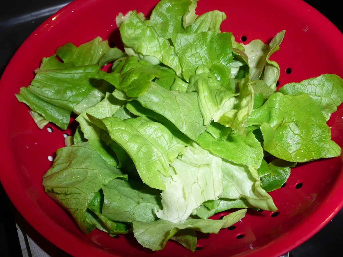 Wildschweinbraten mit Knödel, Steckrübengemüse und gem. Salat. - Rezept - Bild Nr. 1052