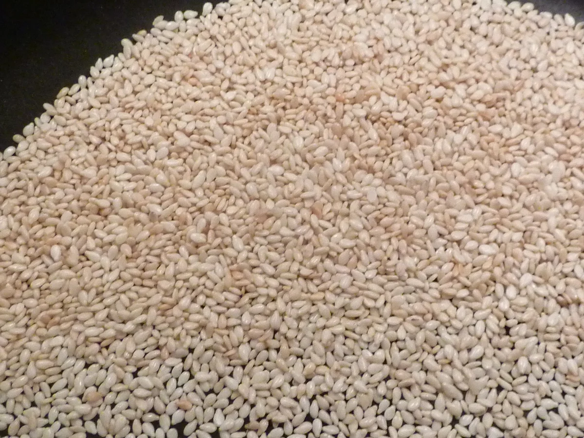 " Tuiles " Kekse ....auf Deutsch Dachziegel - Rezept - Bild Nr. 1053