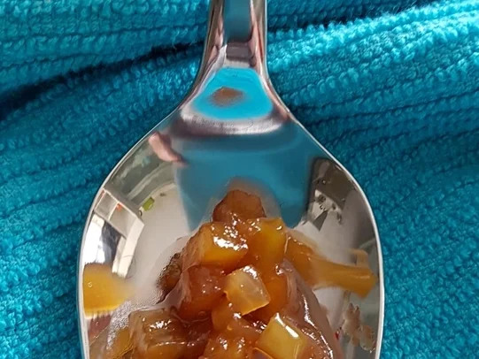 Rezept: Zartes Quitten-Apfel - Zwiebel Chutney Bild Nr. 1070 Zartes Quitten-Apfel - Zwiebel Chutney - Rezept - Bild Nr. 1070