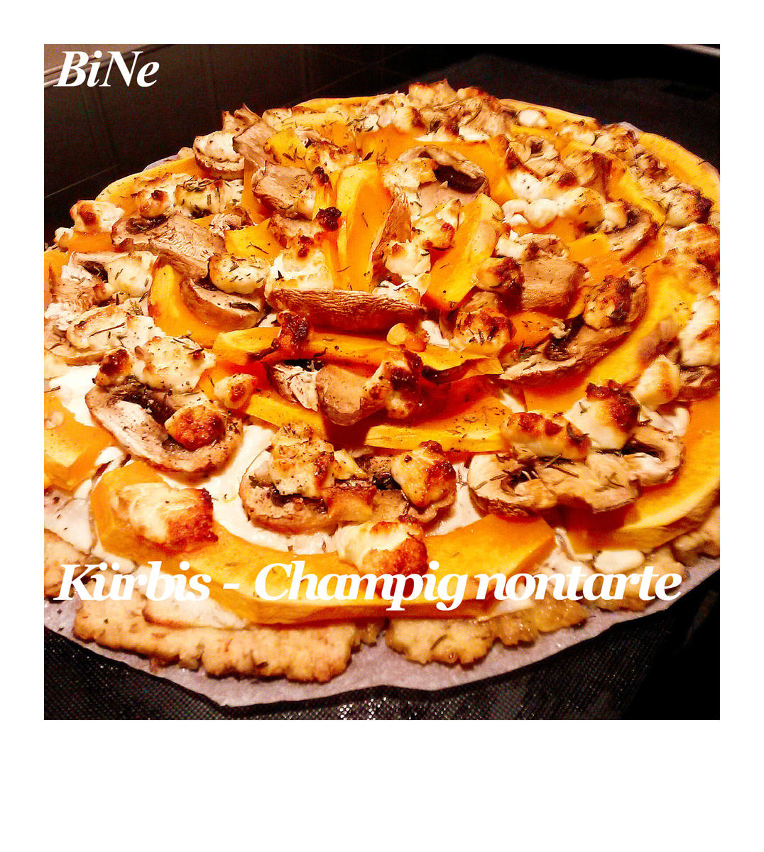 BiNe` S KÜRBIS - CHAMPIGNONTARTE - Rezept - Bild Nr. 1072