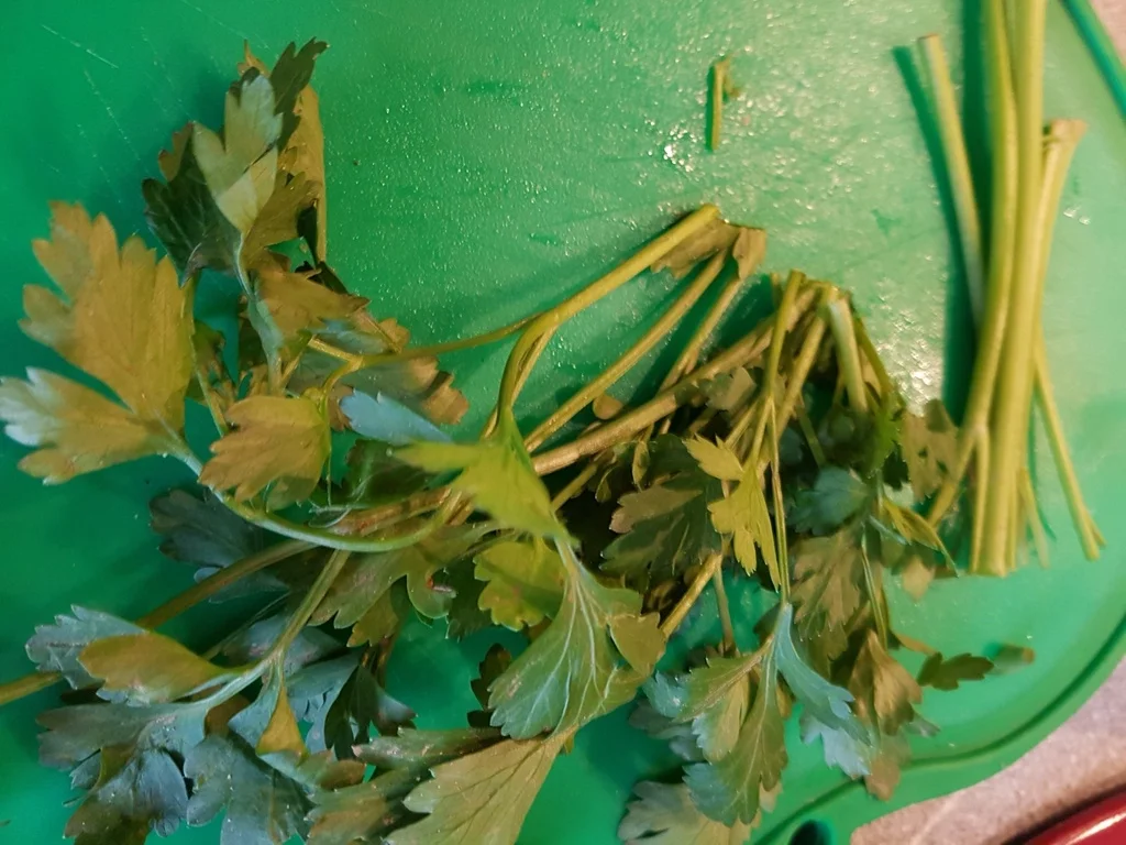 Rezept: Rindfleischsuppe ist die "Sonntagssuppe" à la Biggi Bild Nr. 1101 Rindfleischsuppe ist die "Sonntagssuppe" à la Biggi - Rezept - Bild Nr. 1101