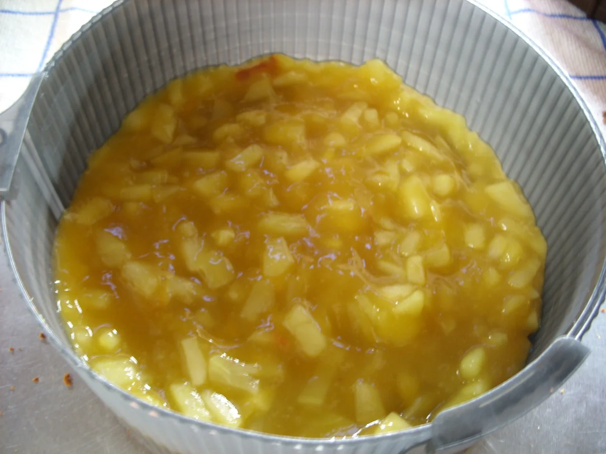 Rezept: Kürbis-Schoko-Traum Bild Nr. 2 Kürbis-Schoko-Traum - Rezept - Bild Nr. 2